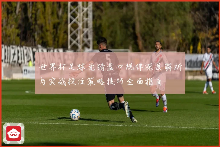 世界杯足球竞猜盘口规律深度解析与实战投注策略技巧全面指南
