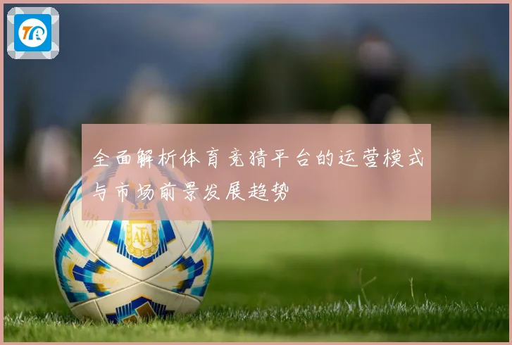 全面解析体育竞猜平台的运营模式与市场前景发展趋势